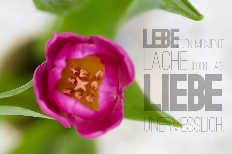 Liebe-unermesslich