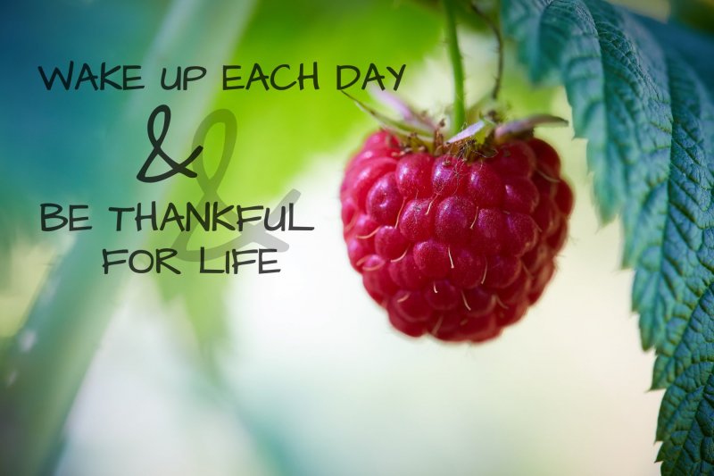Wake-up-each-day
